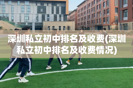 深圳私立初中排名及收费(深圳私立初中排名及收费情况)