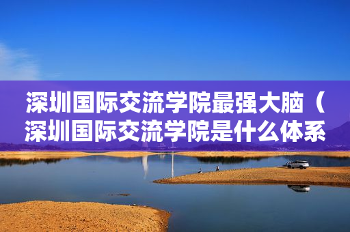 深圳国际交流学院最强大脑（深圳国际交流学院是什么体系）