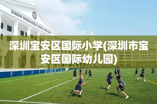 深圳宝安区国际小学(深圳市宝安区国际幼儿园)