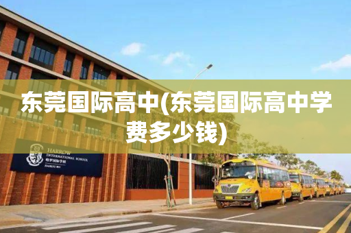 东莞国际高中(东莞国际高中学费多少钱)