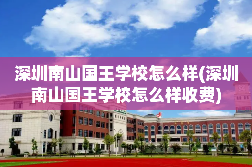 深圳南山国王学校怎么样(深圳南山国王学校怎么样收费)