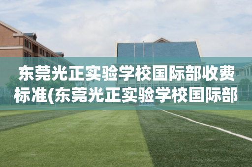 东莞光正实验学校国际部收费标准(东莞光正实验学校国际部收费标准表)