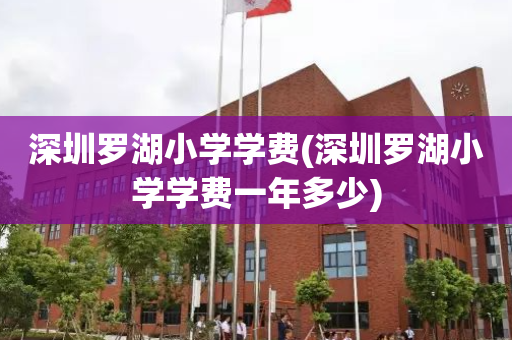 深圳罗湖小学学费(深圳罗湖小学学费一年多少)