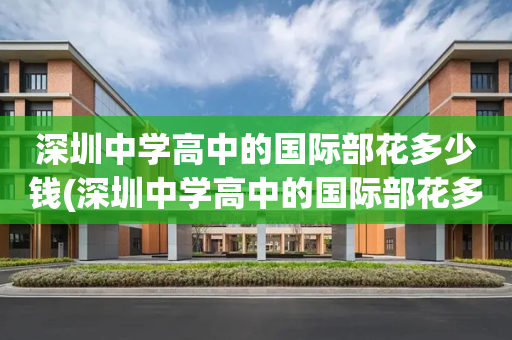 深圳中学高中的国际部花多少钱(深圳中学高中的国际部花多少钱报名)