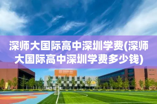 深师大国际高中深圳学费(深师大国际高中深圳学费多少钱)