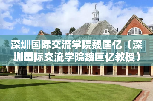 深圳国际交流学院魏匡亿（深圳国际交流学院魏匡亿教授）