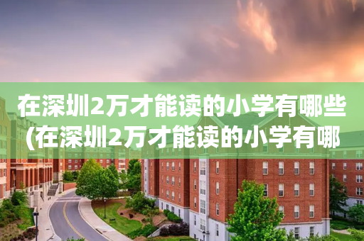 在深圳2万才能读的小学有哪些(在深圳2万才能读的小学有哪些呢)