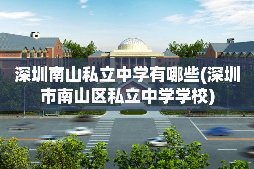 深圳南山私立中学有哪些(深圳市南山区私立中学学校)