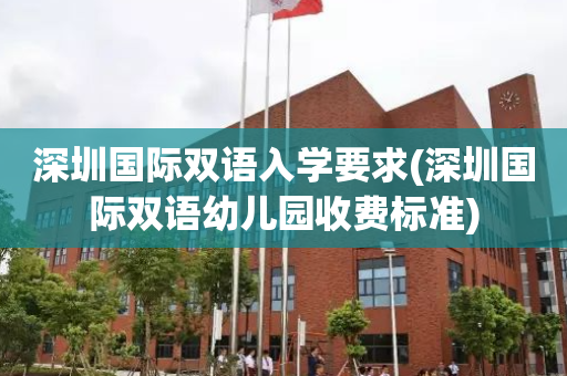 深圳国际双语入学要求(深圳国际双语幼儿园收费标准)