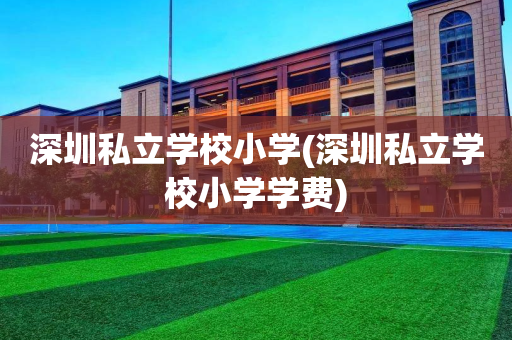 深圳私立学校小学(深圳私立学校小学学费)