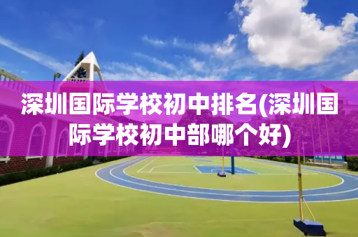 深圳国际学校初中排名(深圳国际学校初中部哪个好)