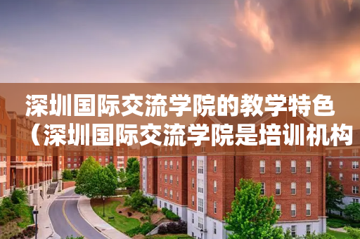 深圳国际交流学院的教学特色（深圳国际交流学院是培训机构吗）