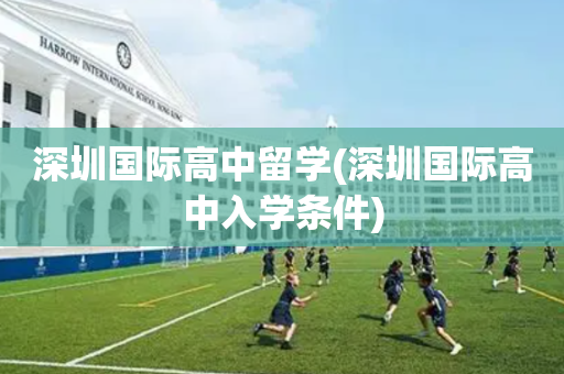 深圳国际高中留学(深圳国际高中入学条件)