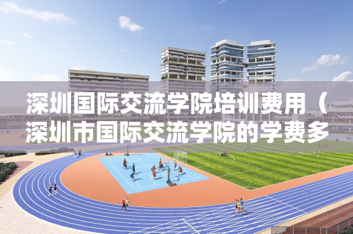 深圳国际交流学院培训费用（深圳市国际交流学院的学费多少）