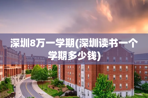 深圳8万一学期(深圳读书一个学期多少钱)