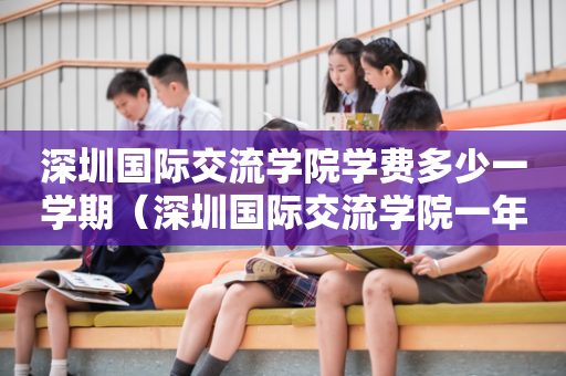 深圳国际交流学院学费多少一学期（深圳国际交流学院一年学费多少）