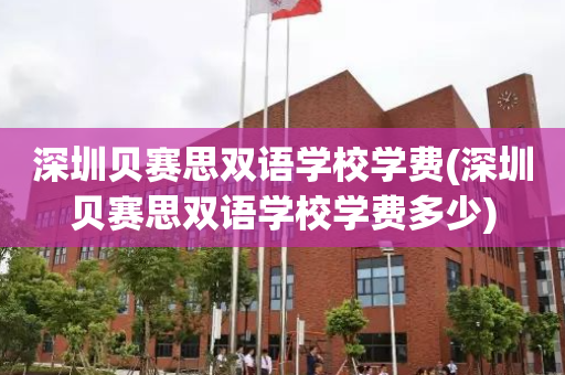 深圳贝赛思双语学校学费(深圳贝赛思双语学校学费多少)