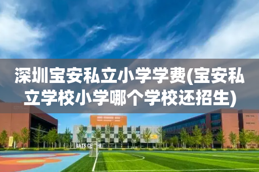 深圳宝安私立小学学费(宝安私立学校小学哪个学校还招生)