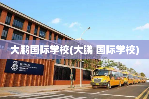 大鹏国际学校(大鹏 国际学校)