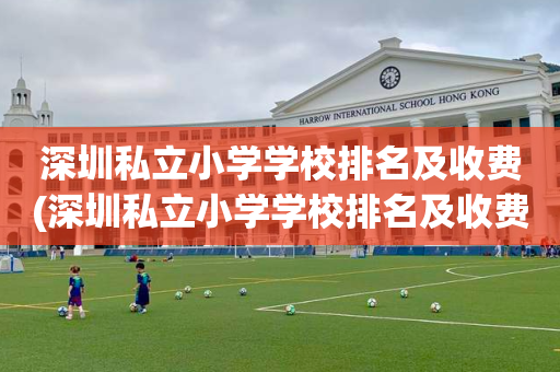 深圳私立小学学校排名及收费(深圳私立小学学校排名及收费标准)