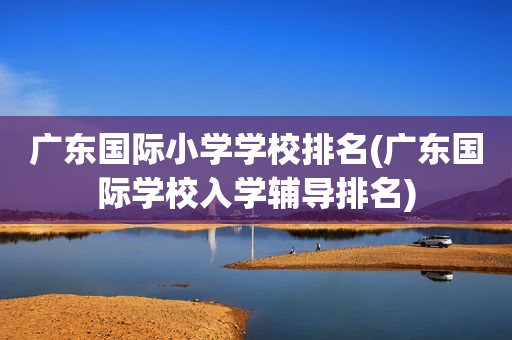 广东国际小学学校排名(广东国际学校入学辅导排名)