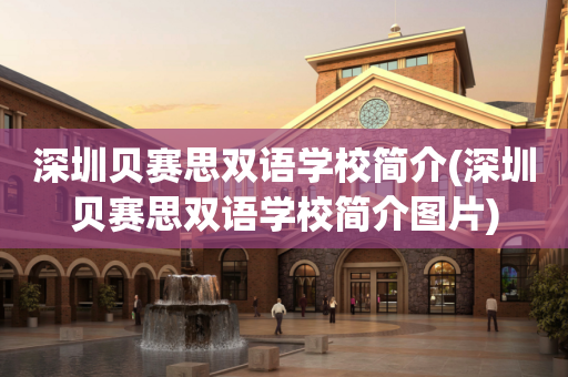 深圳贝赛思双语学校简介(深圳贝赛思双语学校简介图片)