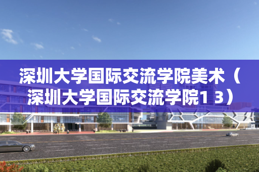 深圳大学国际交流学院美术（深圳大学国际交流学院1 3）