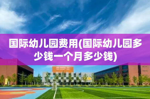 国际幼儿园费用(国际幼儿园多少钱一个月多少钱)
