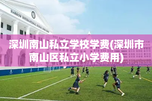 深圳南山私立学校学费(深圳市南山区私立小学费用)