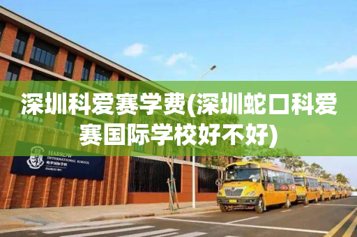 深圳科爱赛学费(深圳蛇口科爱赛国际学校好不好)