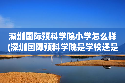深圳国际预科学院小学怎么样(深圳国际预科学院是学校还是培训机构)