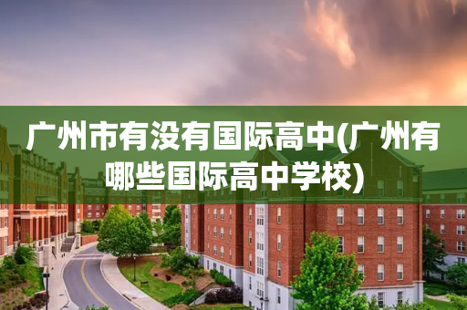广州市有没有国际高中(广州有哪些国际高中学校)