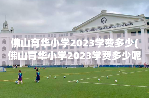 佛山育华小学2023学费多少(佛山育华小学2023学费多少呢)
