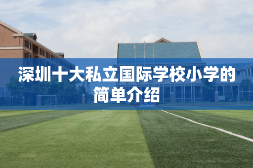 深圳十大私立国际学校小学的简单介绍