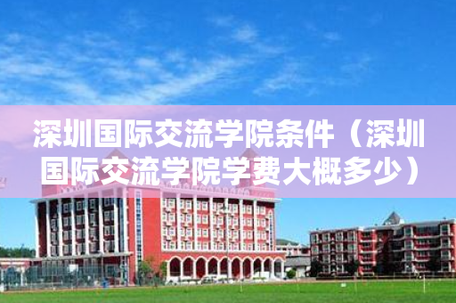 深圳国际交流学院条件（深圳国际交流学院学费大概多少）