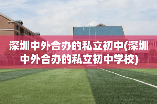 深圳中外合办的私立初中(深圳中外合办的私立初中学校)