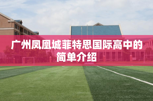 广州凤凰城菲特思国际高中的简单介绍