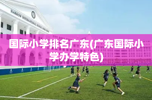 国际小学排名广东(广东国际小学办学特色)