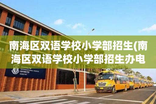 南海区双语学校小学部招生(南海区双语学校小学部招生办电话)
