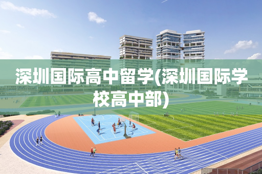 深圳国际高中留学(深圳国际学校高中部)
