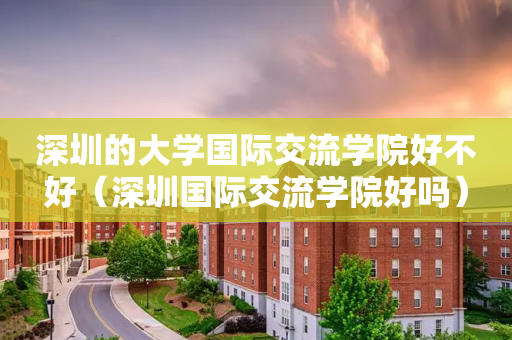 深圳的大学国际交流学院好不好（深圳国际交流学院好吗）