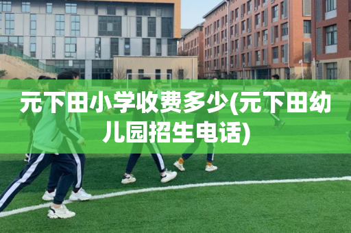 元下田小学收费多少(元下田幼儿园招生电话)