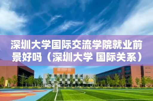 深圳大学国际交流学院就业前景好吗（深圳大学 国际关系）