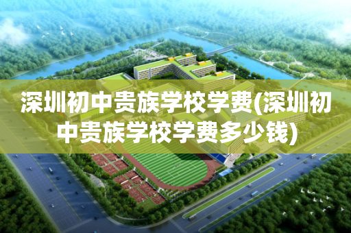深圳初中贵族学校学费(深圳初中贵族学校学费多少钱)