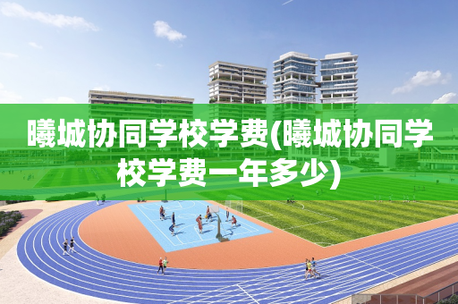 曦城协同学校学费(曦城协同学校学费一年多少)