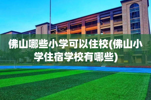 佛山哪些小学可以住校(佛山小学住宿学校有哪些)