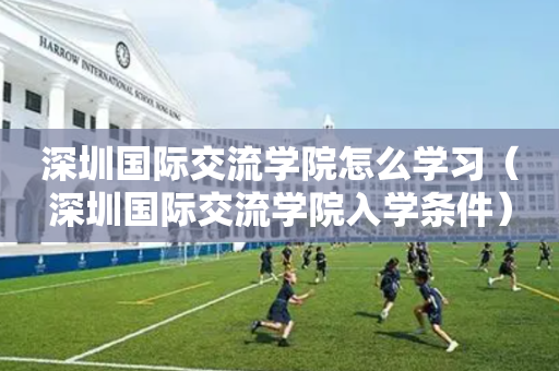 深圳国际交流学院怎么学习（深圳国际交流学院入学条件）