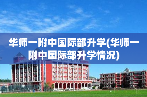 华师一附中国际部升学(华师一附中国际部升学情况)
