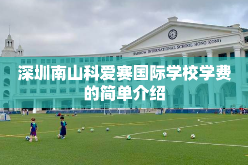深圳南山科爱赛国际学校学费的简单介绍