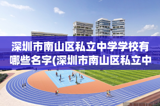 深圳市南山区私立中学学校有哪些名字(深圳市南山区私立中学学校有哪些名字和学校)